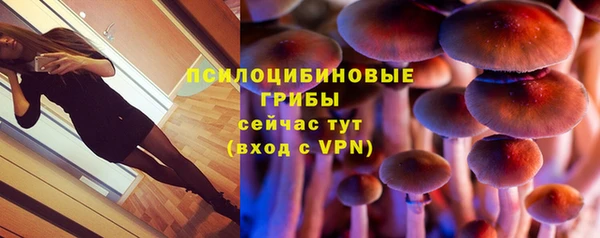 экстази Алексин