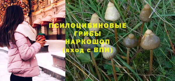 экстази Алексин