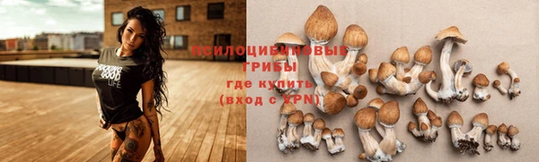 экстази Алексин