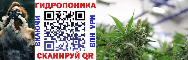 даркнет наркотические препараты  Чебаркуль  Каннабис MAZAR  что такое наркотик 
